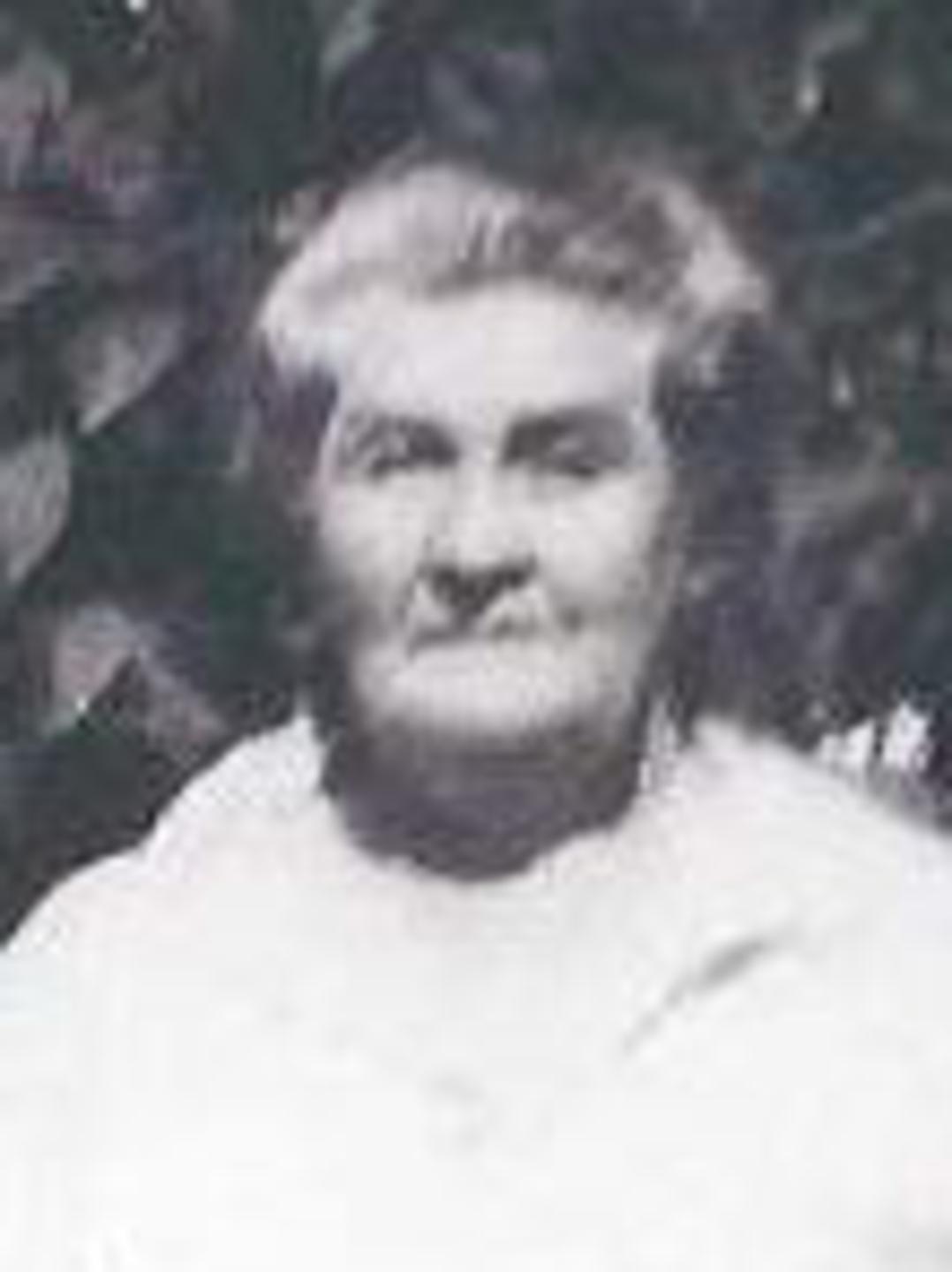 Sarah Ann Bradshaw (1854 - 1910) Profile